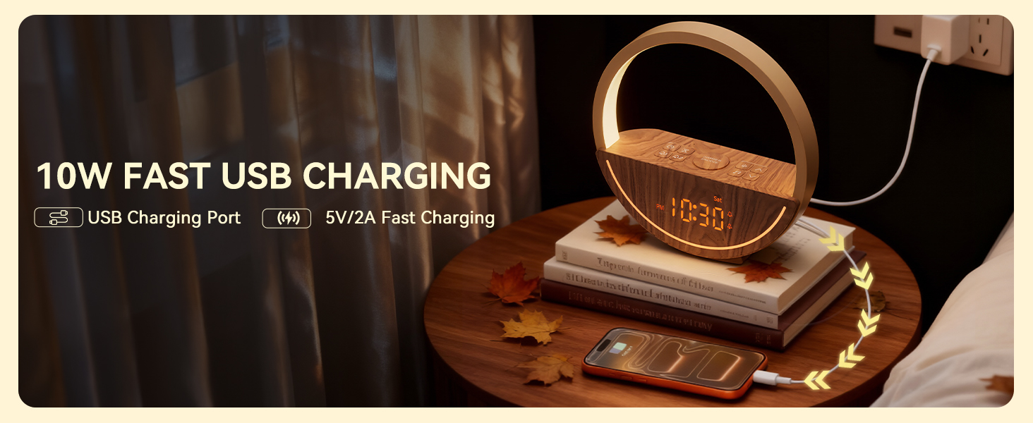 alarm clock with charger