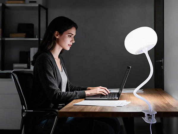 clip on light clip on lamp clip on desk lamp with clamp light clip light clip lamp clamp lamp