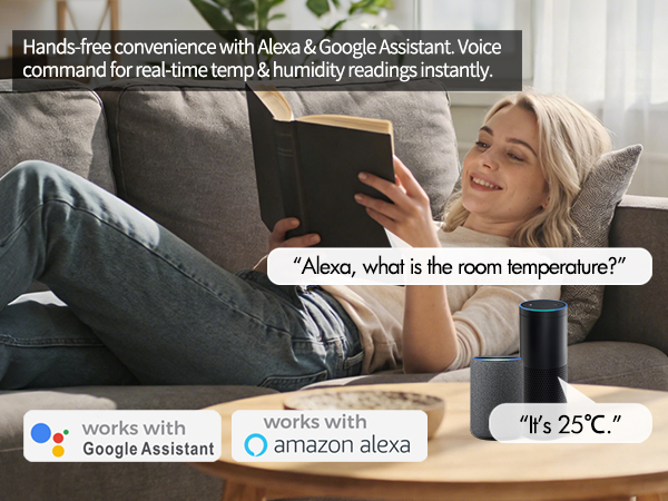 indoor thermometer wifi