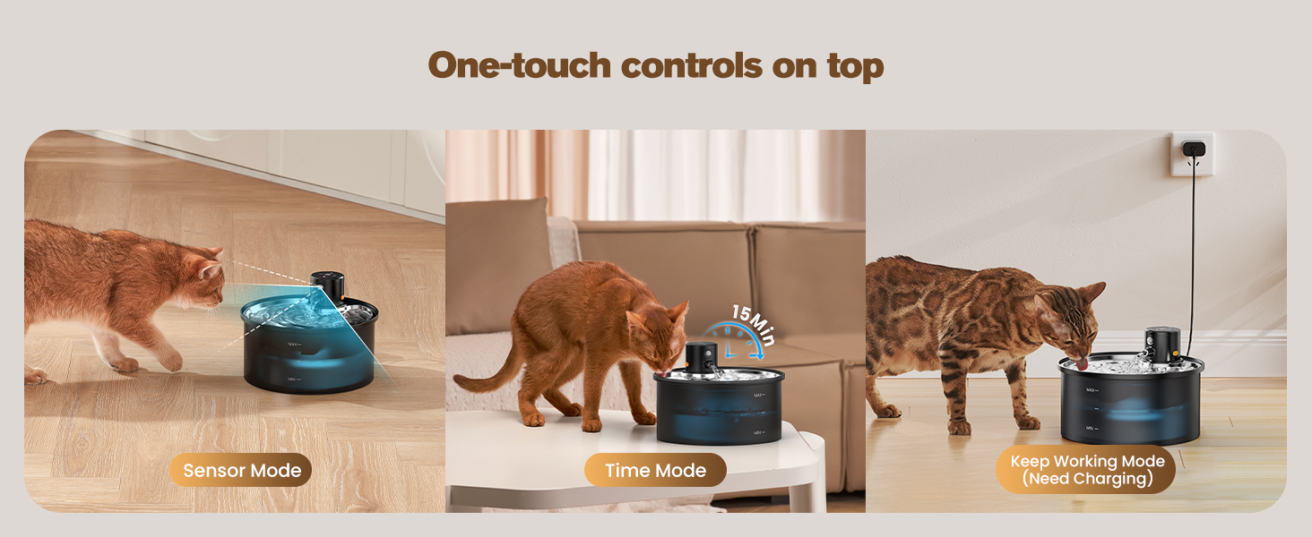 cat water fountain