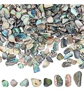 BENECREAT 3.5oz Natural Abalone Shell Pieces for Guitar Wood Inlay, Paua Shell Chips, 0.16-0.49in...