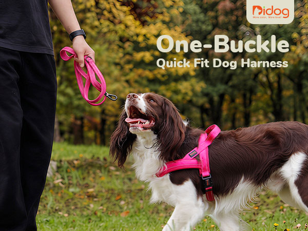 One-Buckle Quick Fit Dog Harness
