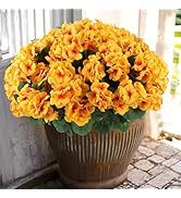Hananona 12 Pcs Artificial Geranium Flowers for Outdoors Geranium Silk Yellow Flowers Outdoor UV ...