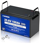 DC HOUSE 24V 100Ah LiFePO4 Lithium Battey, Low Temp Cut-Off BMS, Up to 15000 Cycles, Perfect for ...
