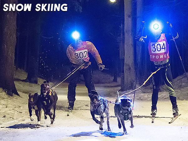 Headlamp Rechargeable