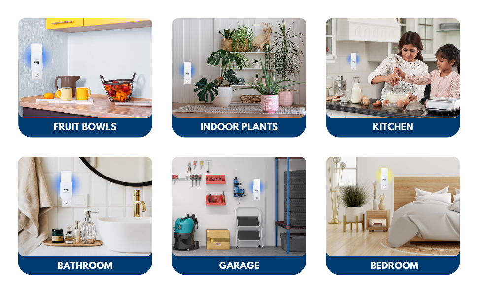 keeping your kitchen free from sticky fly traps