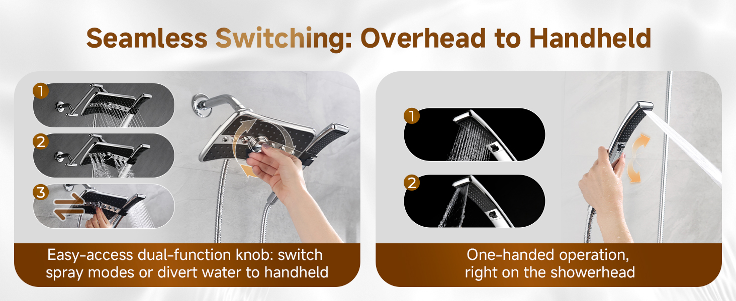 shower head with handheld