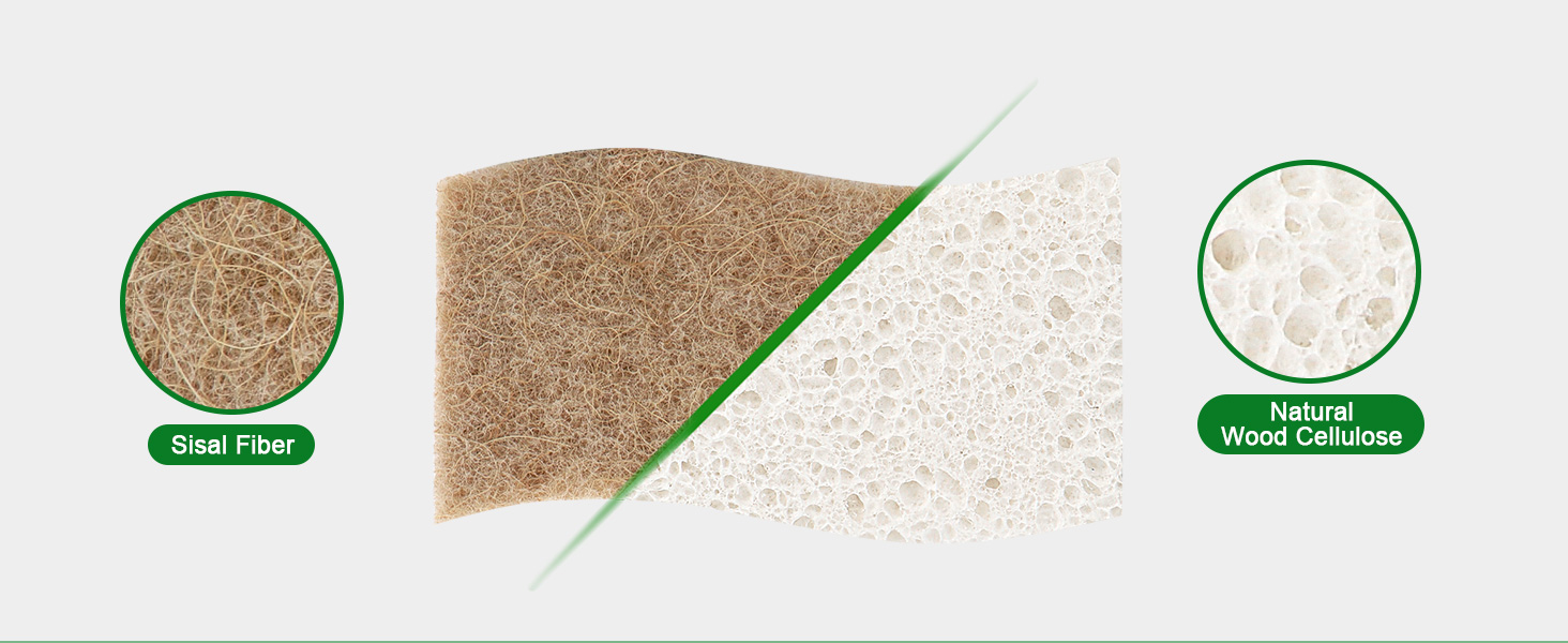 Natural Sponge
