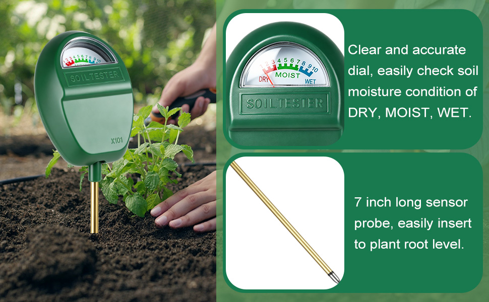 product details