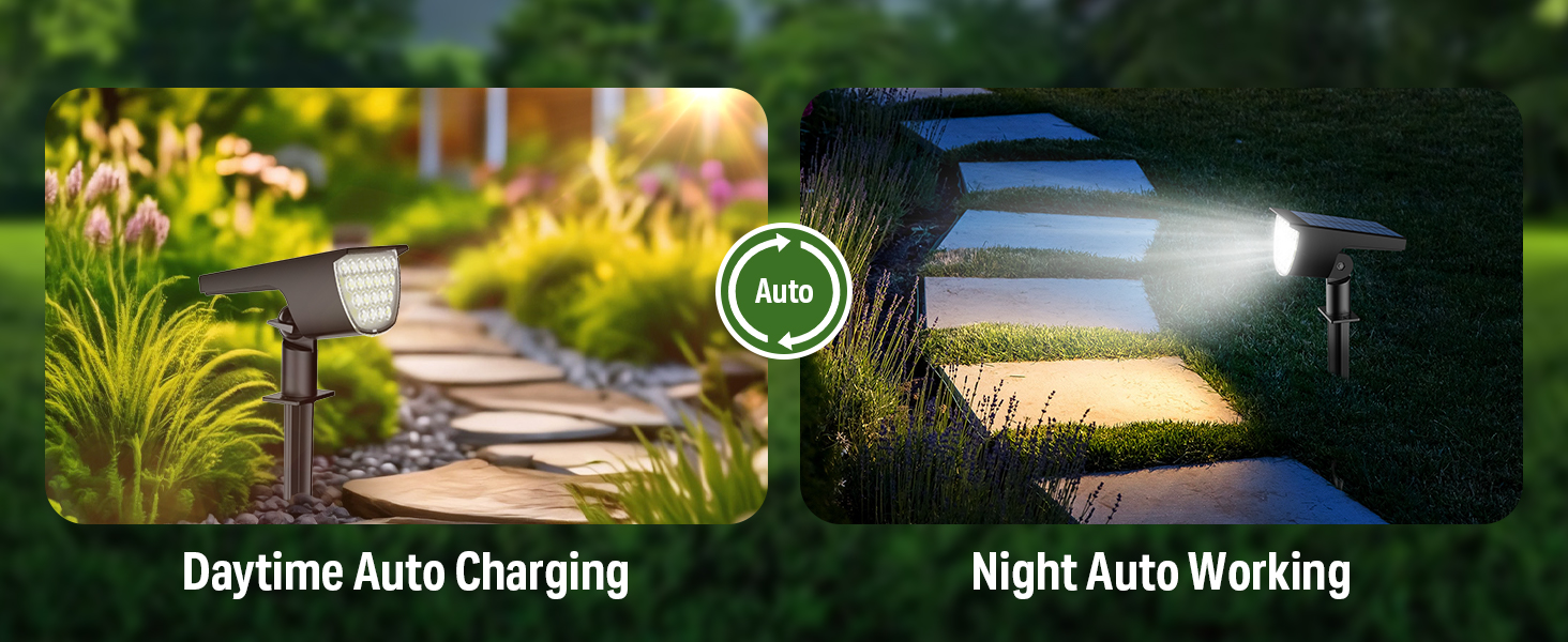 solar lights outdoor-2