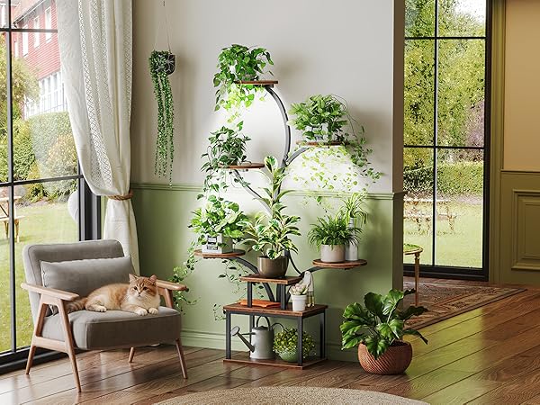 PLANT RACK