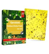yellow sticky traps