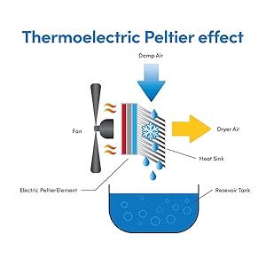 peltier effect diagram