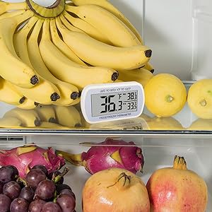 freeze thermometer digital