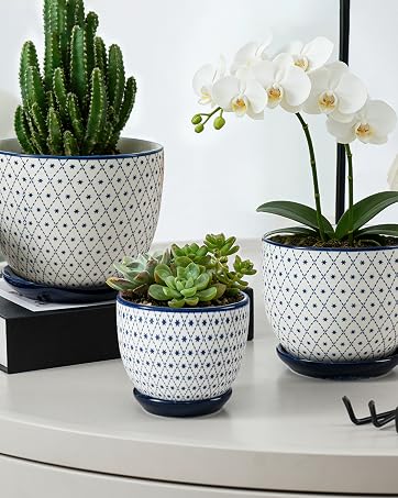 https://m.media-amazon.com/images/S/aplus-media-library-service-media/9802f19b-9f7e-43a4-bd35-f42cee0b4aa6.__CR166,0,1199,1500_PT0_SX362_V1___.jpg