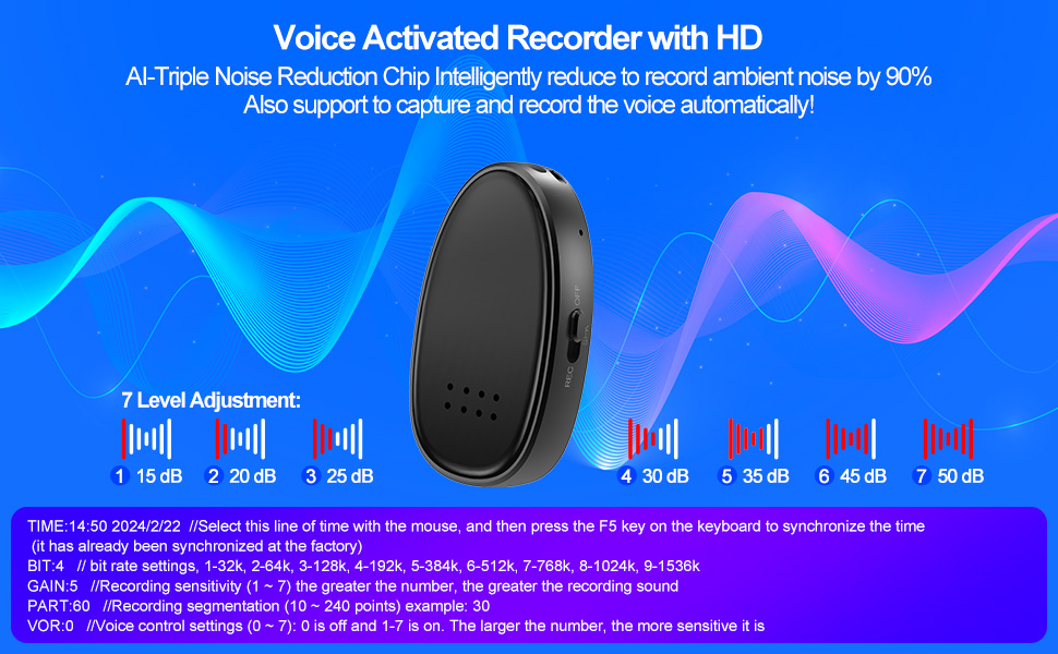 Audio voice recorder