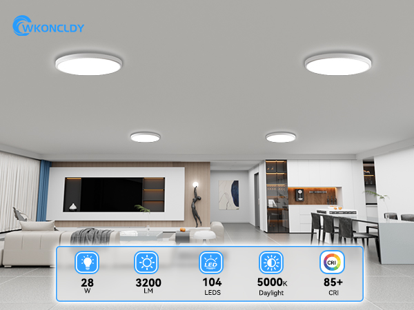 LED Ceiling Light