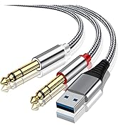 USB to dual 6.35 mm 1/4 inch stereo splitter Y-cable,6.6FT US B to 6.35 mm left and right channel...