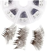 Volume Lash Extensions 10D Brown Premade Fans 500 PCS 0.07mm 9-16mm Mixed C/D Curl Short Stem Pre...