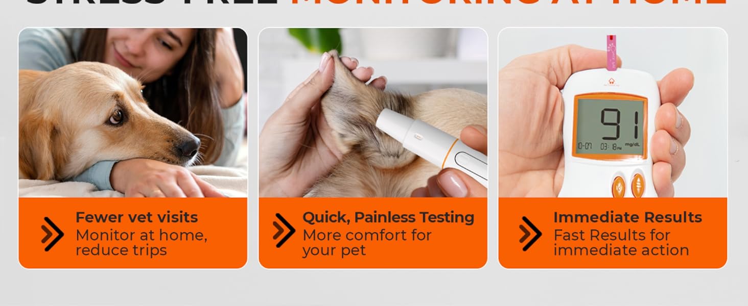 dog glucometer glucose monitor kit for dogs pet glucose monitor cat blood glucose monitor kit