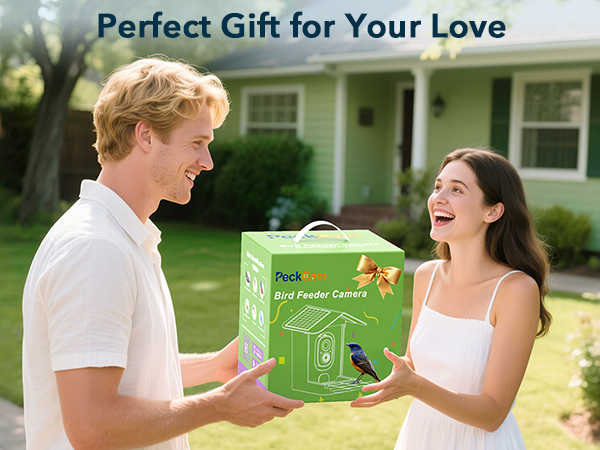 birdfeeder with camera built-in