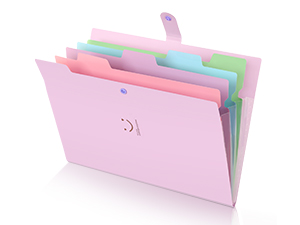 file folder