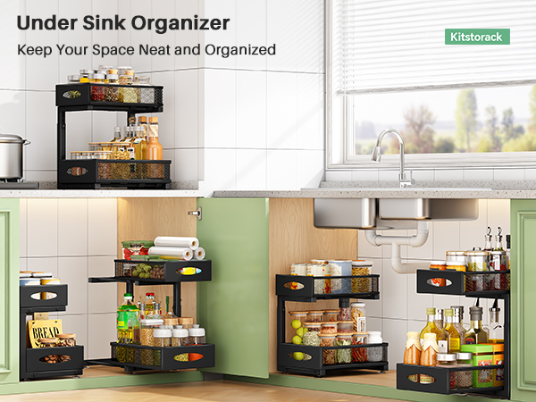 Under Sink Organizer