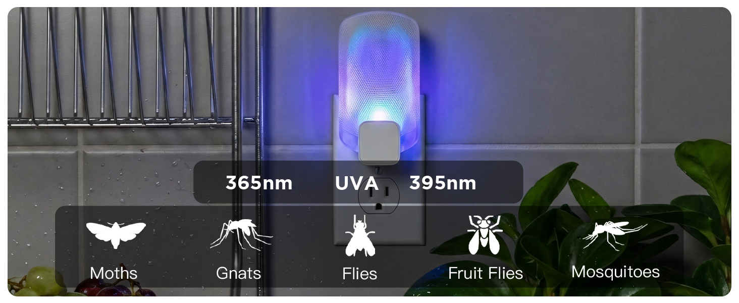 fly killer gnat killer plug in best safe electric flying insect trap fruit fly bug blue UV light