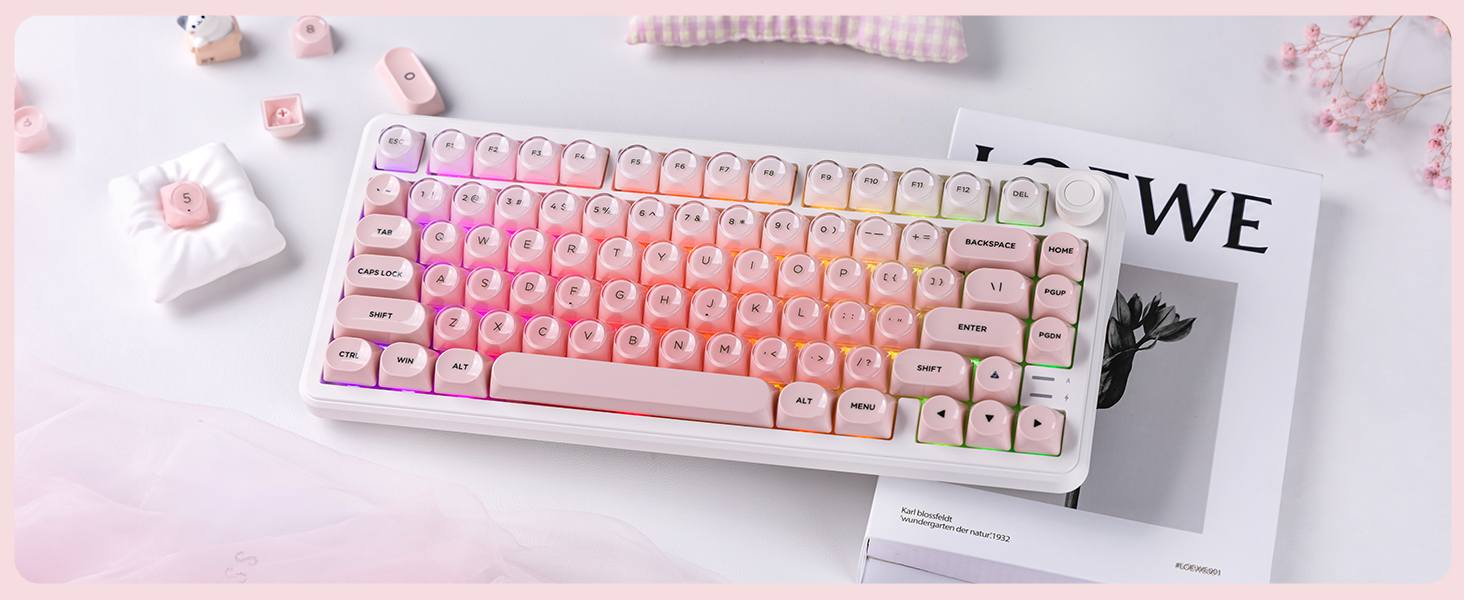 Gradient Pink Jelly Aesthetic for a Soft RGB Desk Upgrade