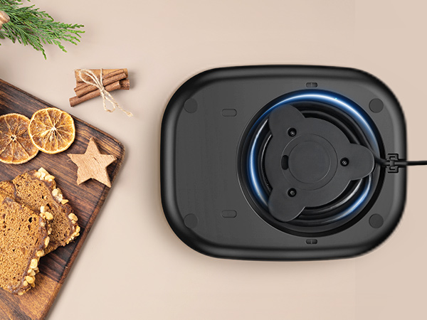 electric kettle gooseneck temperature control