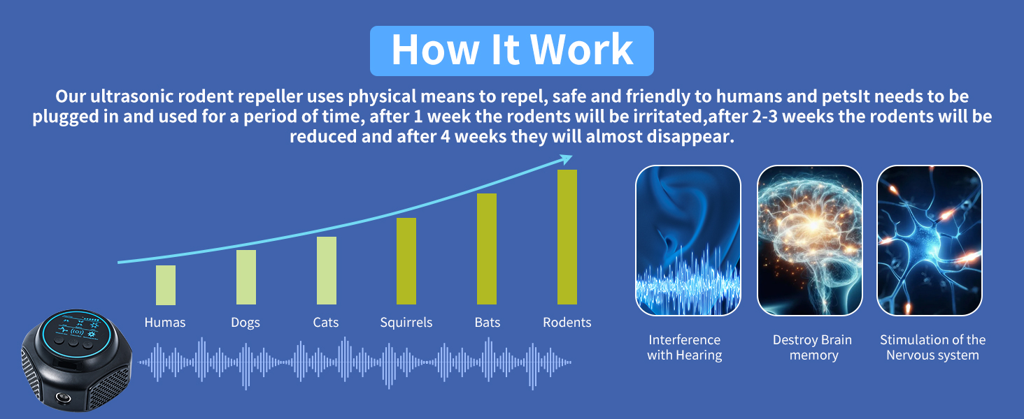 Indoor Mouse Traps for Home
