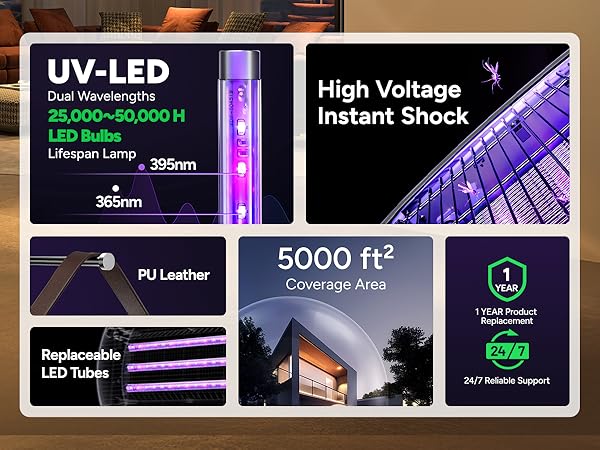 moth advion control bite refills pest para pit oil candles salt infestation mice outside madea
