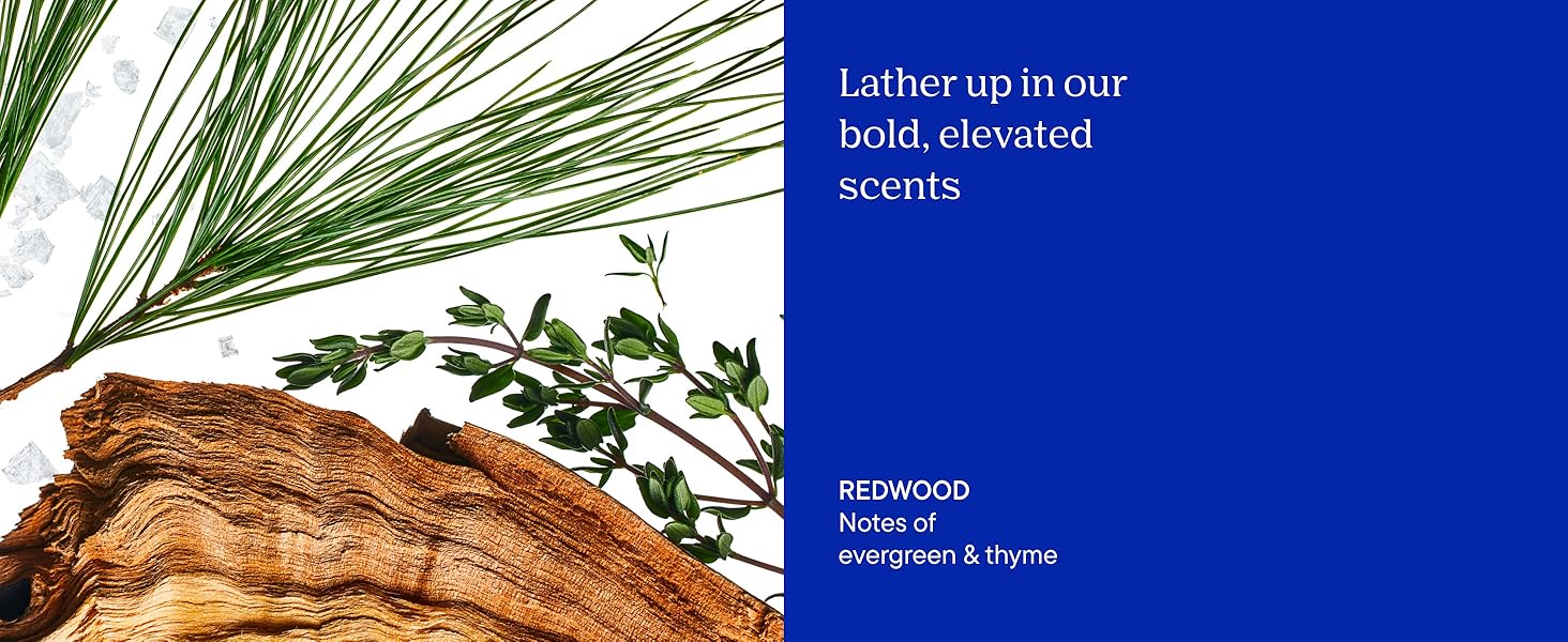 body wash scents