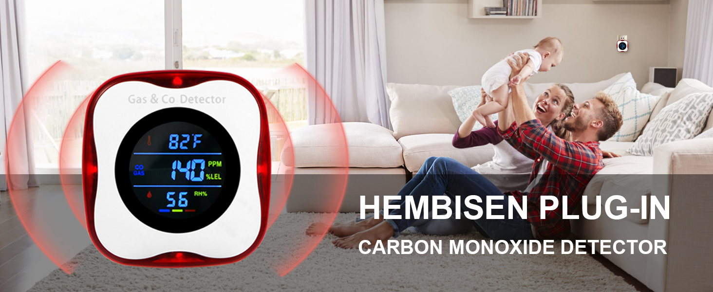gas and carbon monoxide detector