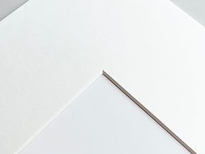 picture frame with mat