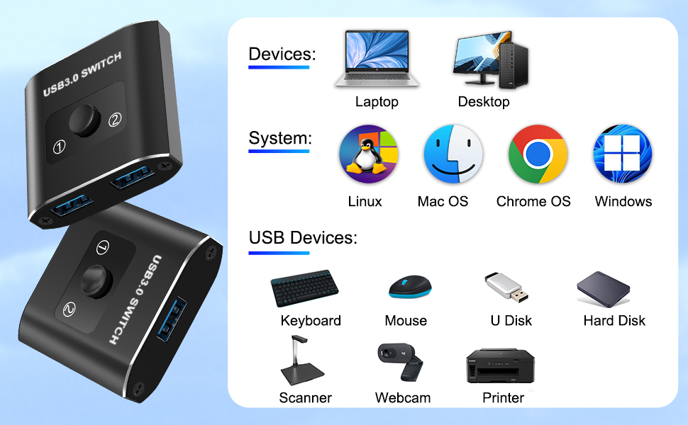 USB Switch 1 in 2 out