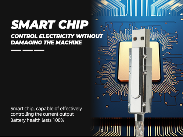 SMART CHIP