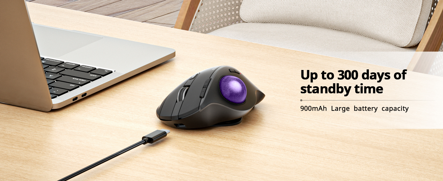 EM01 NL Ergonomic Trackball Mouse