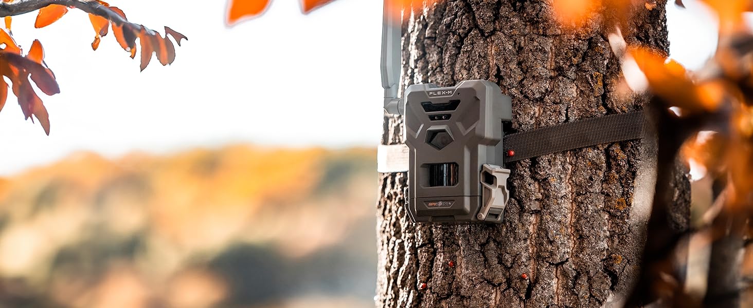 FLEX-M Camera on tree with strap spypoint cellular trail cameras