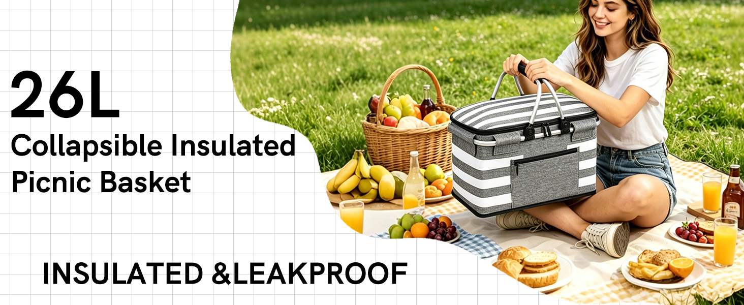 Insulated Picnic Basket