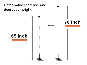Projector Screen and Stand