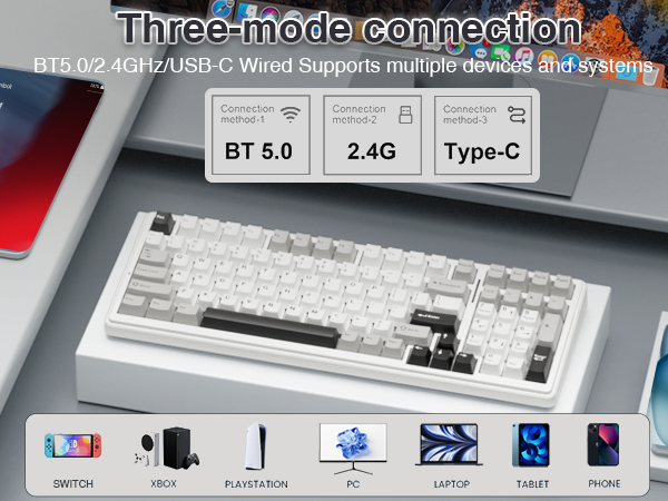 wireless BT5.0 mechanical keyboard custom hot swappable mechanical keyboard gaming 96% keyboard