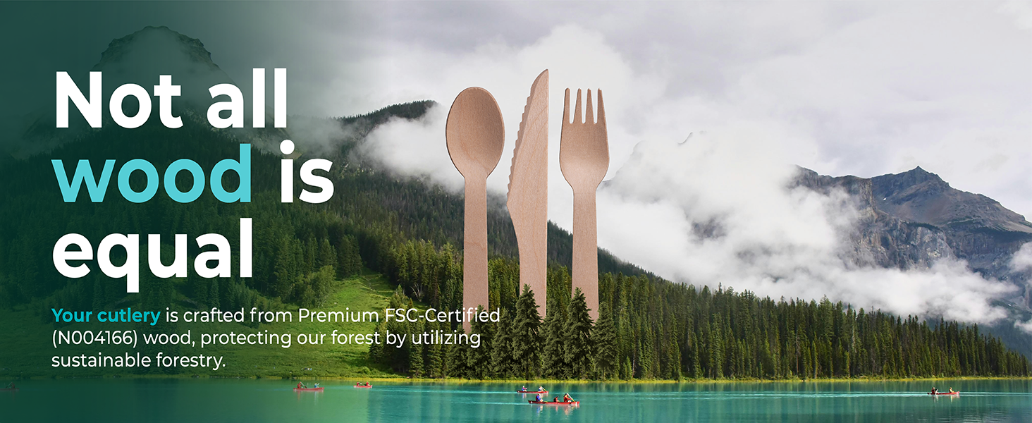 disposable utensil Plastic Silverware Disposable Cutlery disposable silverware Plastic Cutlery