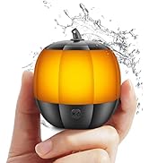 LFS Portable Bluetooth Speakers with Lights Mini Wireless Speaker, 7 Color Lights, 12H Playtime, ...