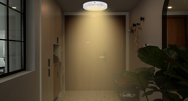 3000k ceiling light 