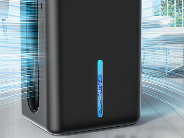 dehumidifier for basement