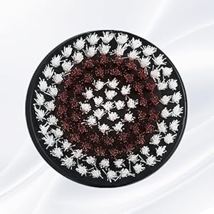 2* Exfoliating Brush Heads