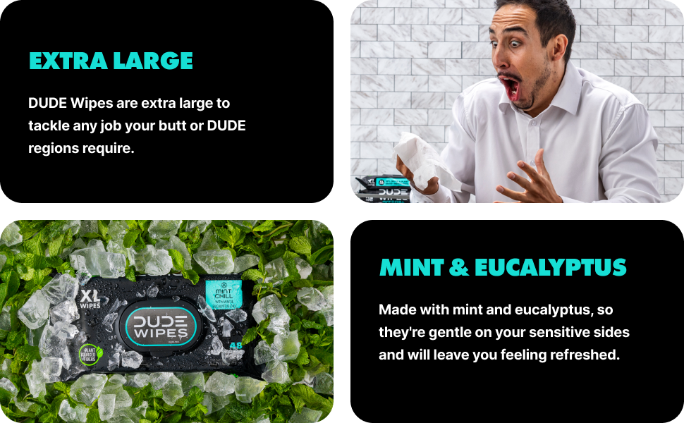 Dude Wipes Extra Large Wipes