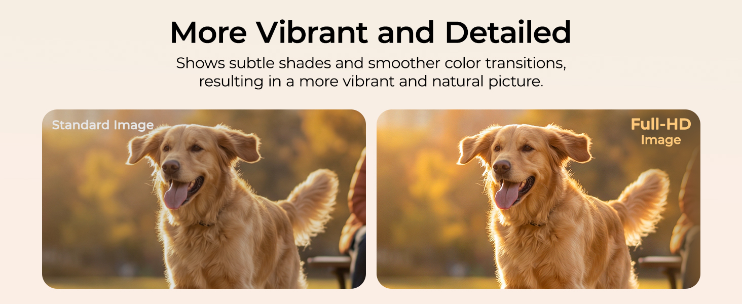 More Vibrant and Detailed