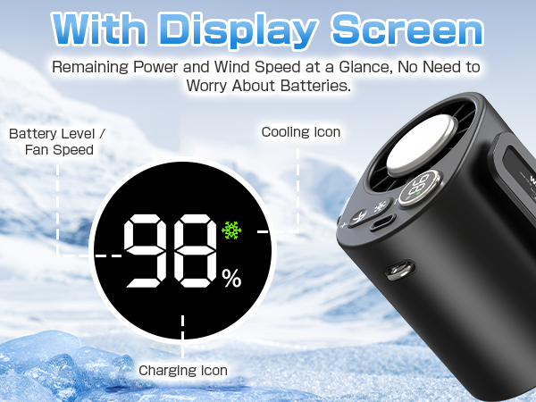 LED Display